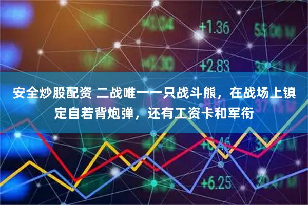 安全炒股配资 二战唯一一只战斗熊，在战场上镇定自若背炮弹，还有工资卡和军衔