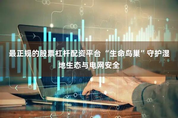 最正规的股票杠杆配资平台 “生命鸟巢”守护湿地生态与电网安全