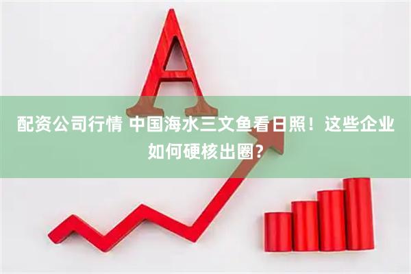 配资公司行情 中国海水三文鱼看日照！这些企业如何硬核出圈？
